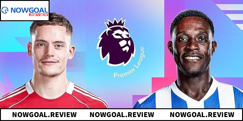 soi kèo Liverpool vs Brighton